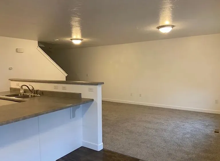 43 E Mayapple Ct — Photo 2