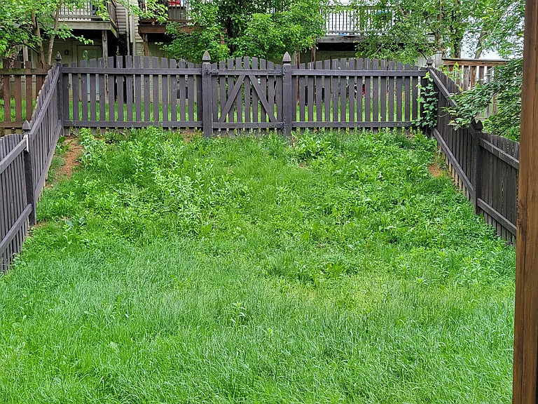 95 Effie Ln — Photo 2