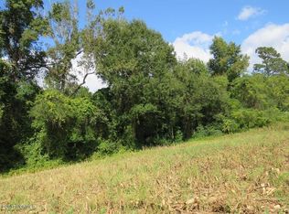 0 Andrew Jackson Rd SW, Chadbourn, NC 28431