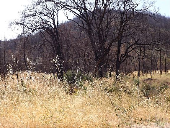 4th image of 13155 Monte Vista Ln