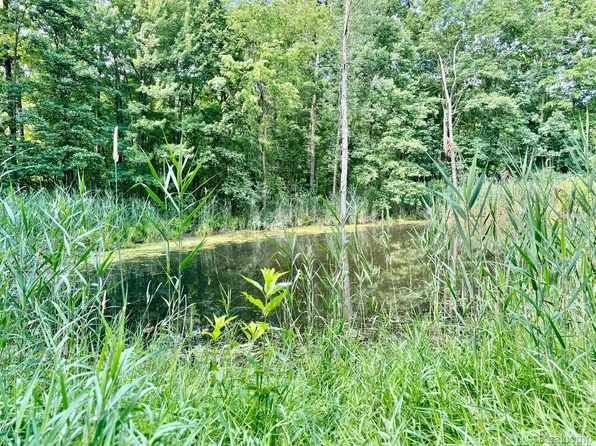 11366 E Holly Rd, Davisburg, MI 48350