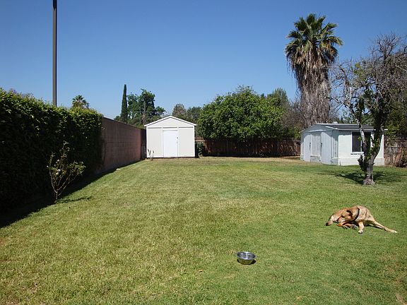 Huge Backyard