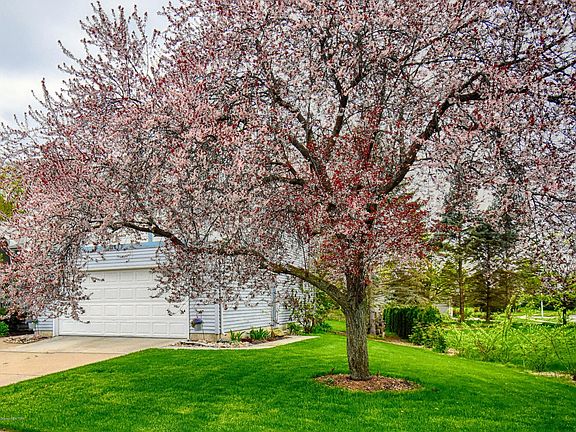 2nd image of 2417 Bush Gardens Ln