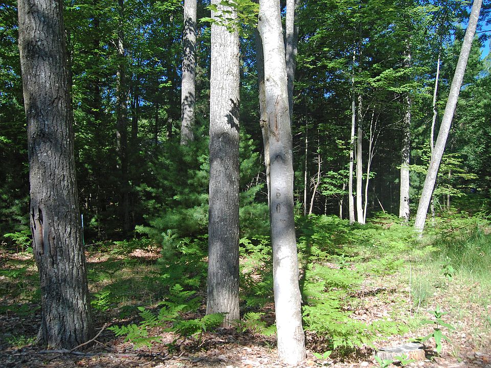 1st image of 9 Twisted Oak Gln