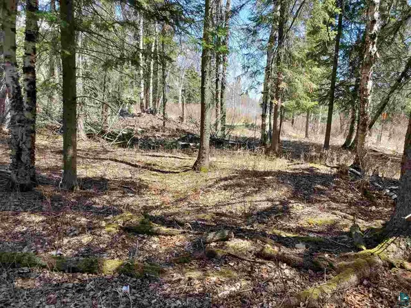 Lot 2 Hoaglund Dr, Tofte, MN 55615