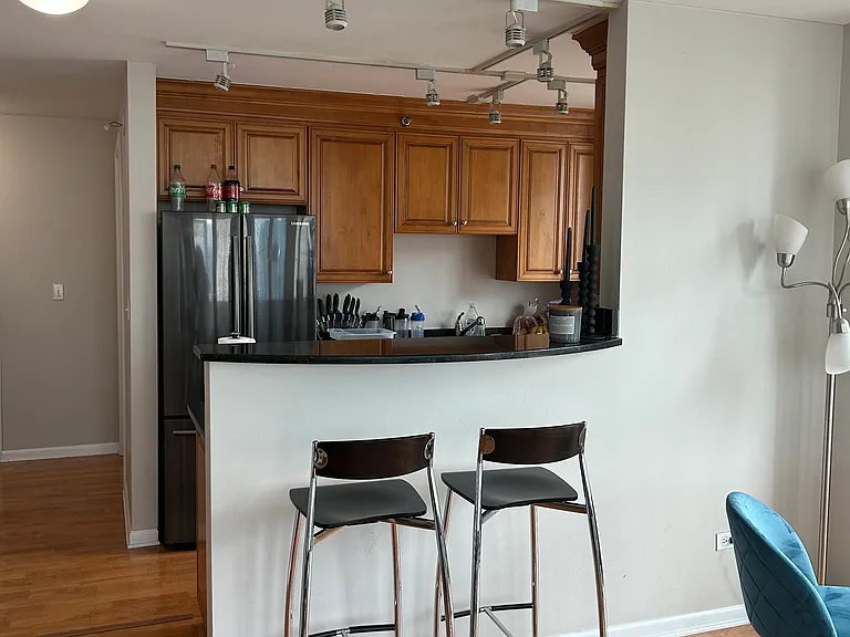 345 N Lasalle St #4504 — Photo 5