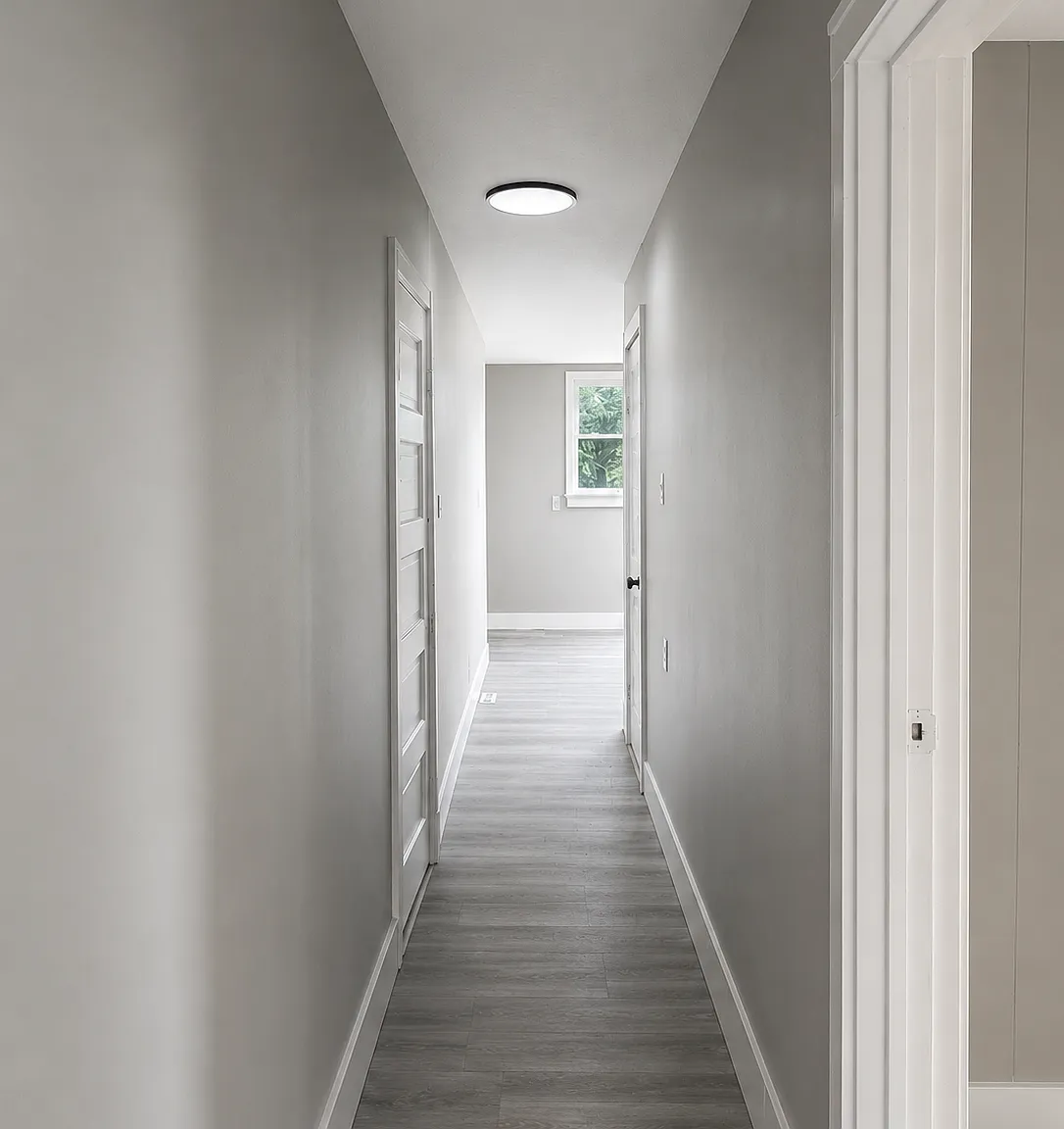 1 bed, 700 sqft, $900 — Photo 3