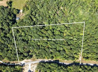 0 Mayne Trace Rd, Waverly, TN 37185