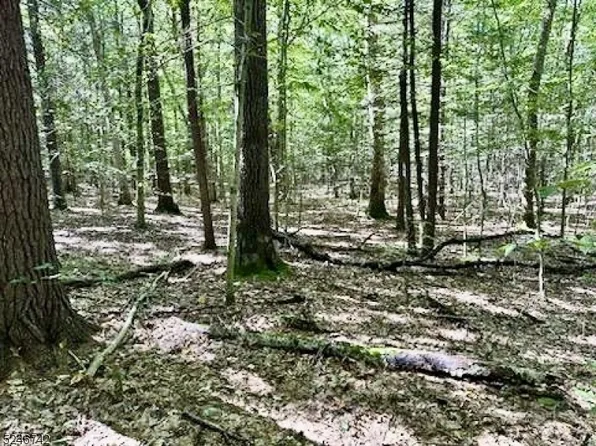 7 Wainwright Ln, Sandyston Twp., NJ 07826