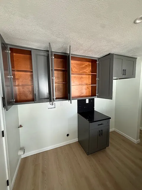 2 bed, 890 sqft, $3,100 — Photo 3