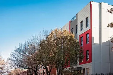 Rented by Bold New York