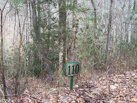 2nd image of 129 Springside Way Lot 110