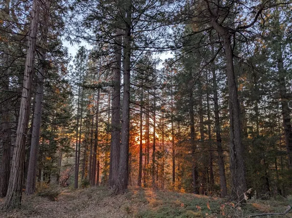 3000 Moody Ridge Rd, Gold Run, CA 95717