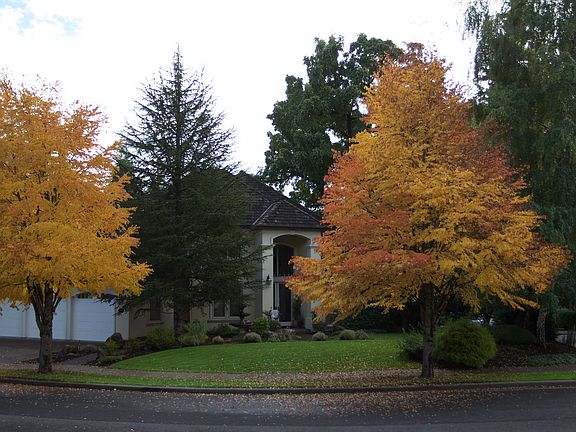 Fall