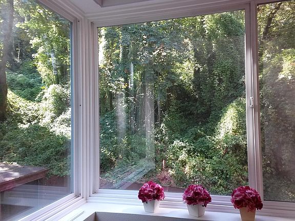 Back Window