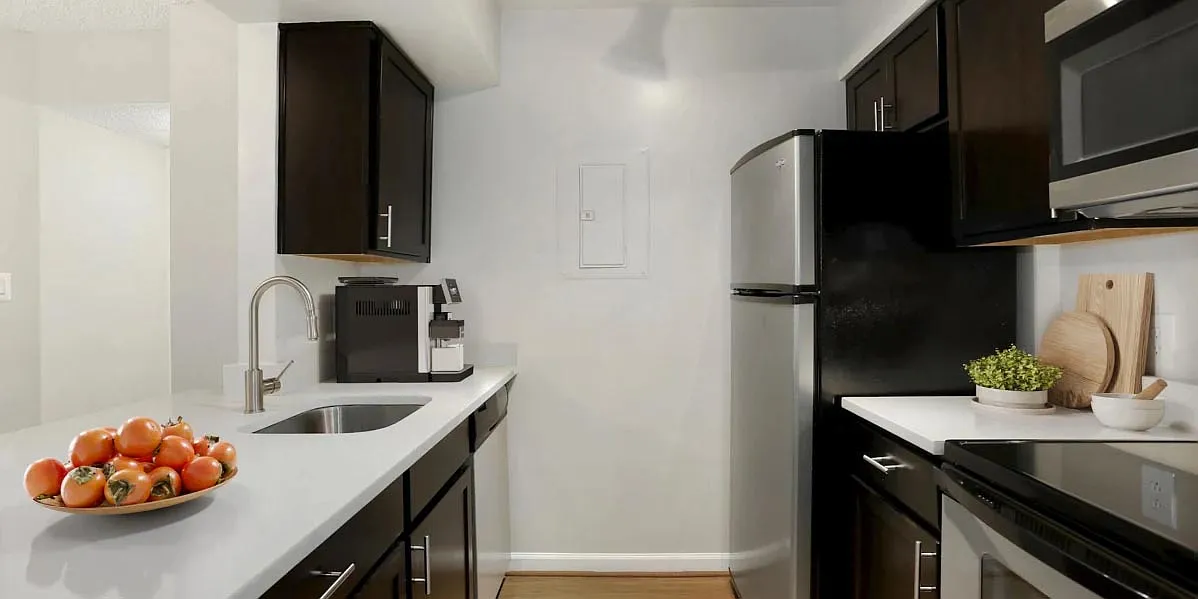 Upgraded kitchens with quartz countertops and espresso cabinets - Winston House