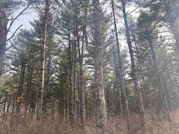 4th image of 0 Town Hall Road