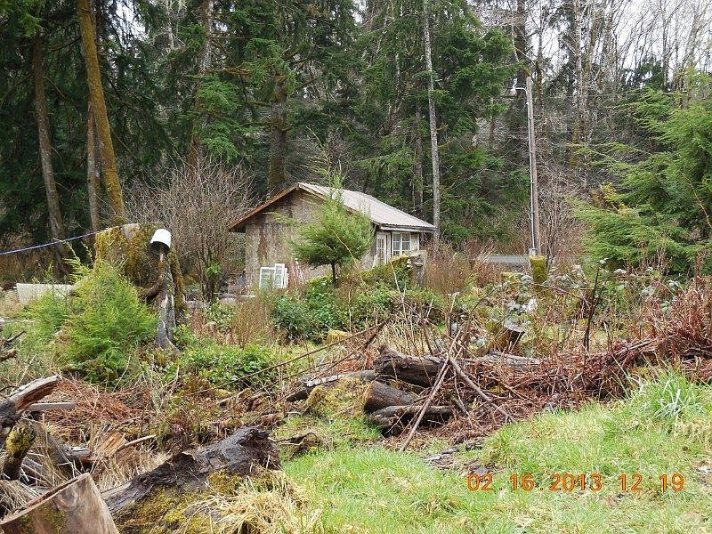 2nd image of 242 Sekiu River Rd