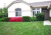 1st image of 7456 Pineschi Pl