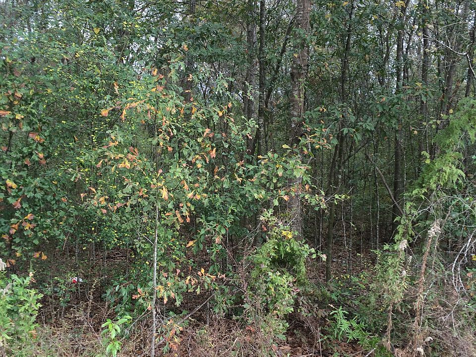 2nd image of 800 Campo