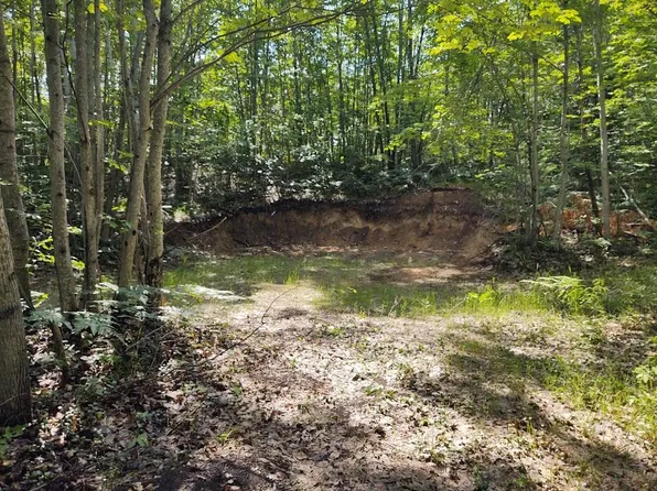 Lake May Rd, Hawks, MI 49743