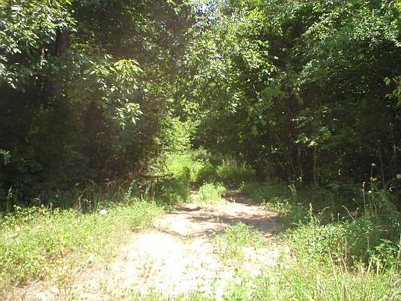 5th image of 130 County Road 408