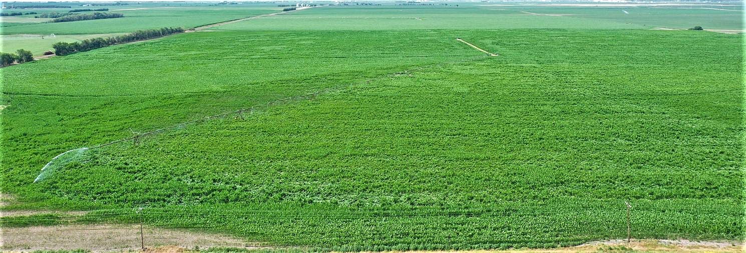 1601 Road 11, Geneva, NE 68361 MLS 11192863 Zillow