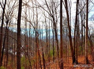 87 Buffalo Trl, Asheville, NC 28805