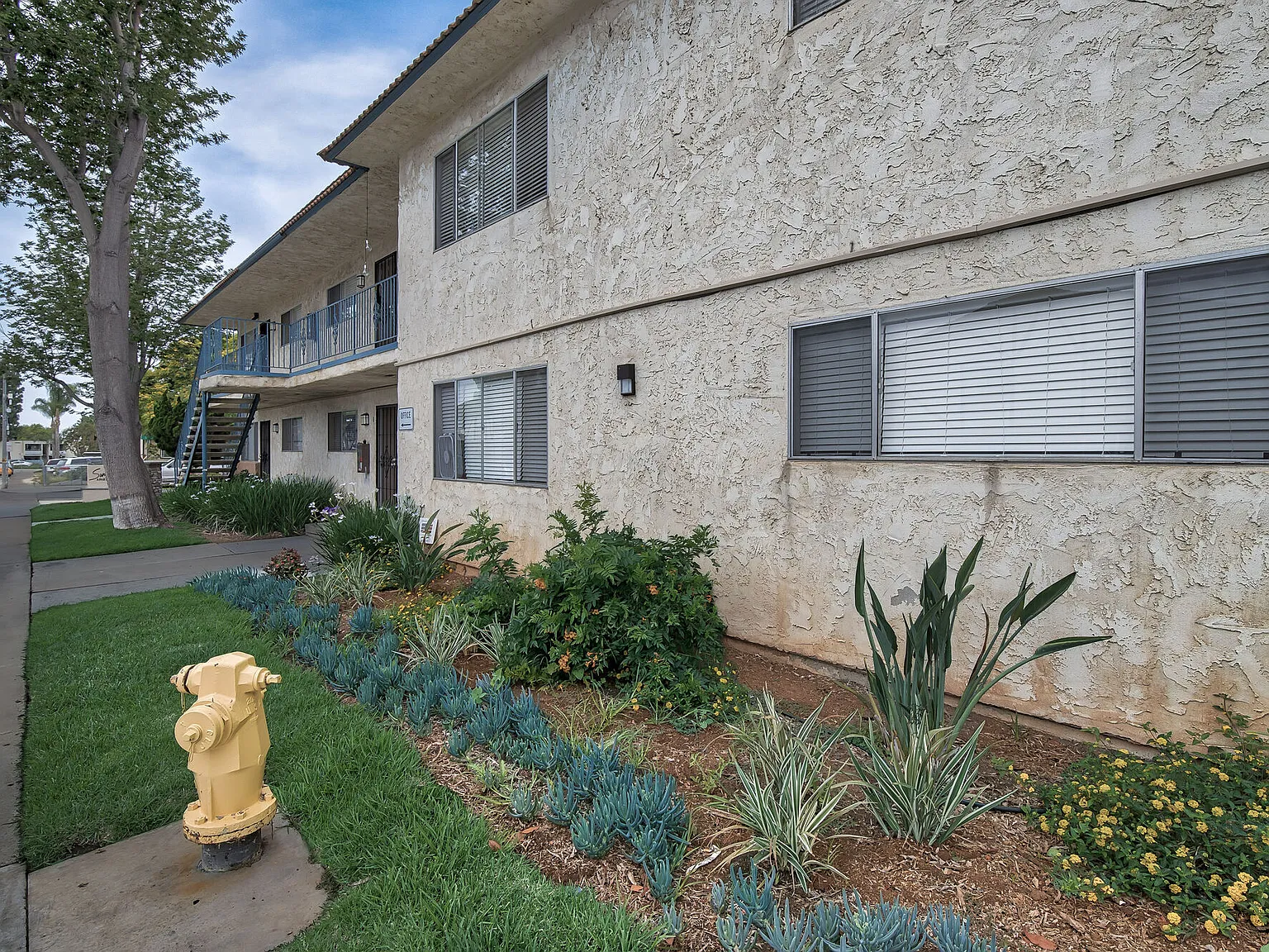 Sunshine Apartments — Photo 2