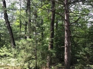 0 N Racoon Trl, Lincoln, MI 48742