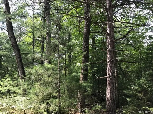 0 N Racoon Trl, Lincoln, MI 48742