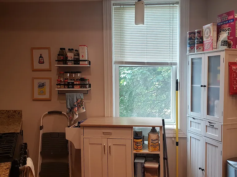 225 South St #2 — Photo 10