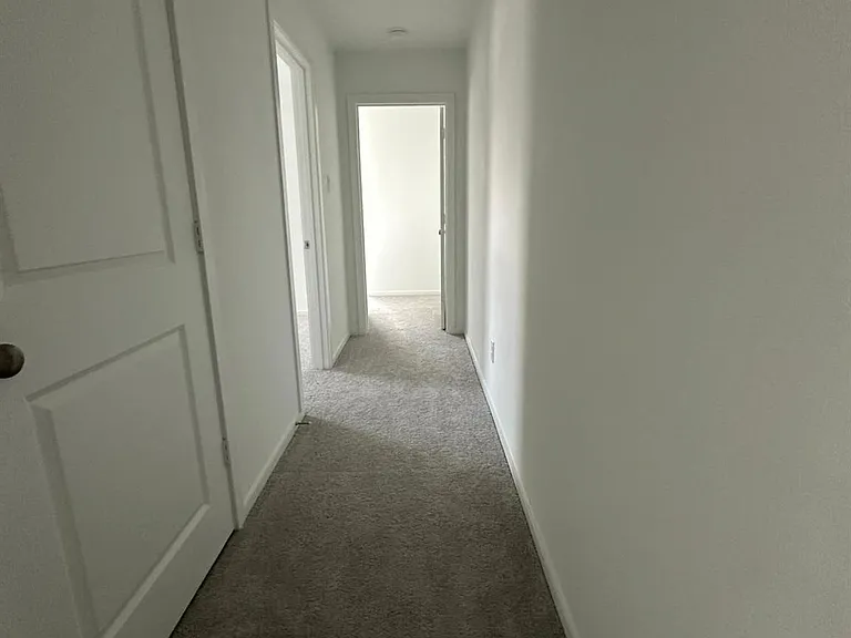 939 Pertuso Ln — Photo 7