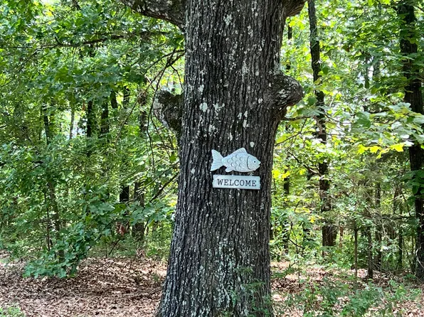 Lot 112 N Walnut Springs Drive, Cape Fair, MO 65624