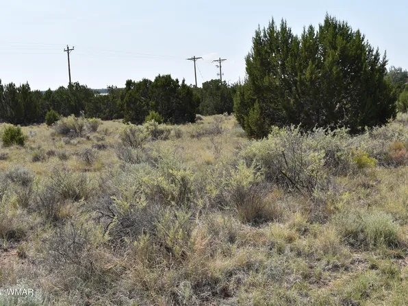 34 Alpine Ln, Concho, AZ 85924