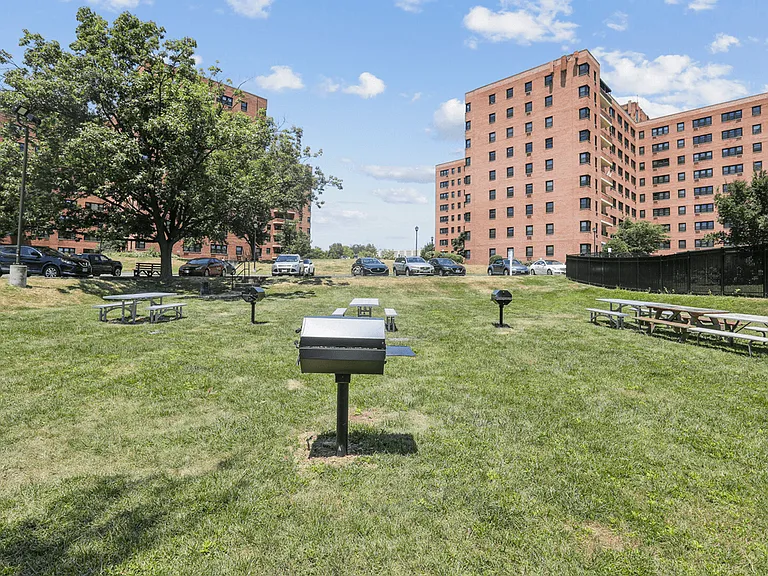 Expansive green space with community grilling stations