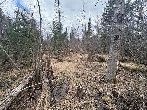 5th image of 27590 S Raber Rd