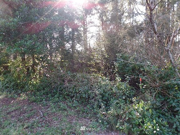 4th image of 463 Snahapish Avenue SE lot56