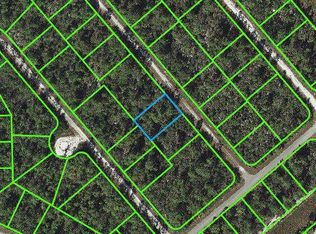 536 Madison Pl, Lake Placid, FL 33852
