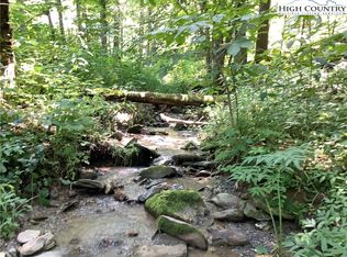 4 Larkspur Ln, Banner Elk, NC 28604