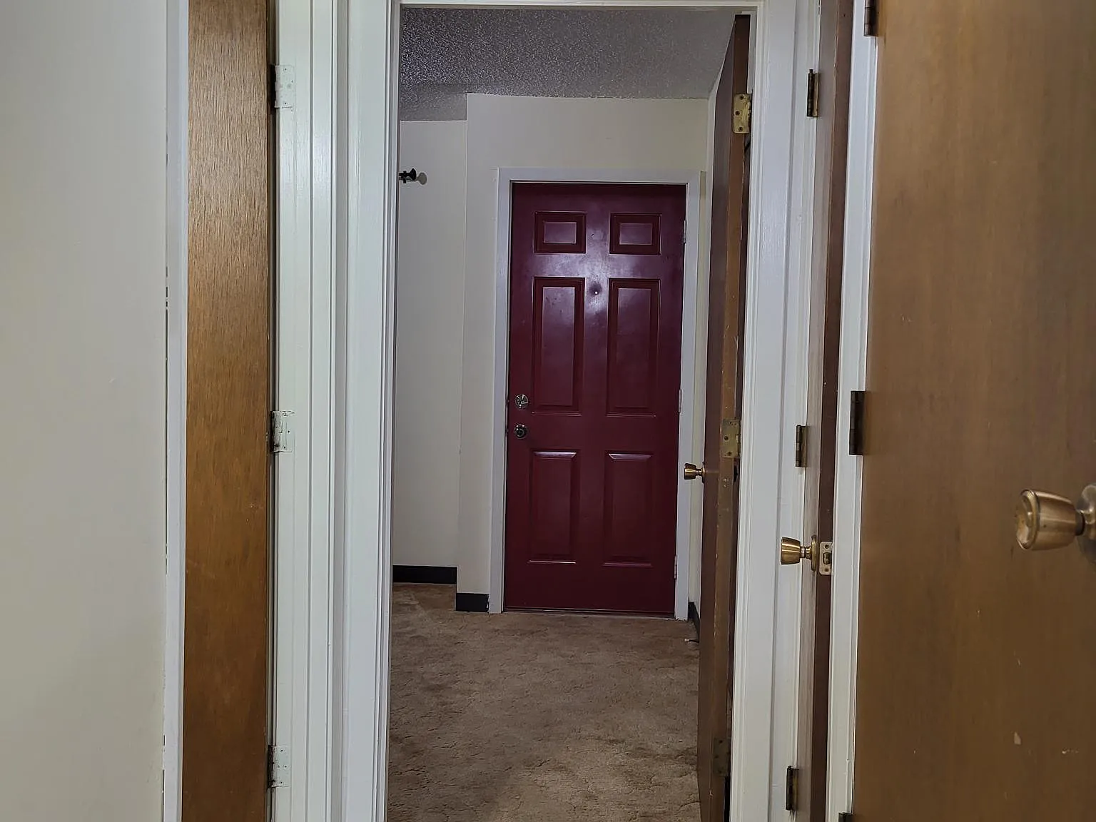 1 bed, 600 sqft, $550 — Photo 2