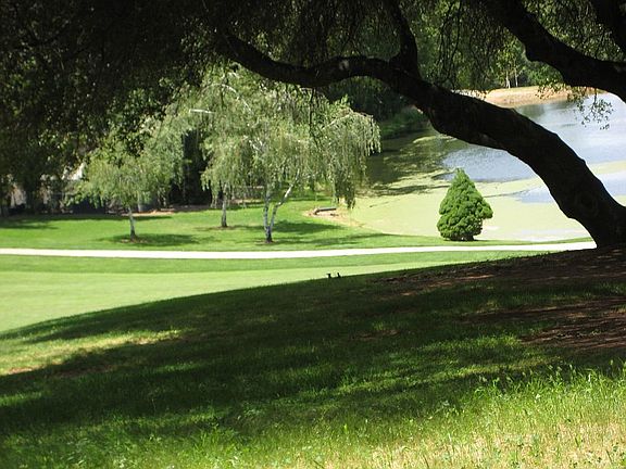 Fairway view from the house