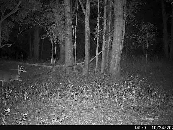 33rd image of this home