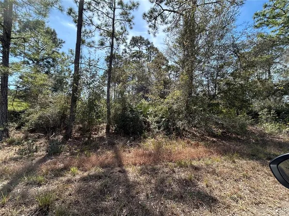 3420 WESTERN TANAGER STREET LOT 9, LAKE PLACID, FL 33852