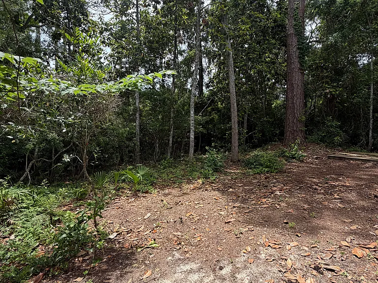 114 Rearden Way — Photo 40
