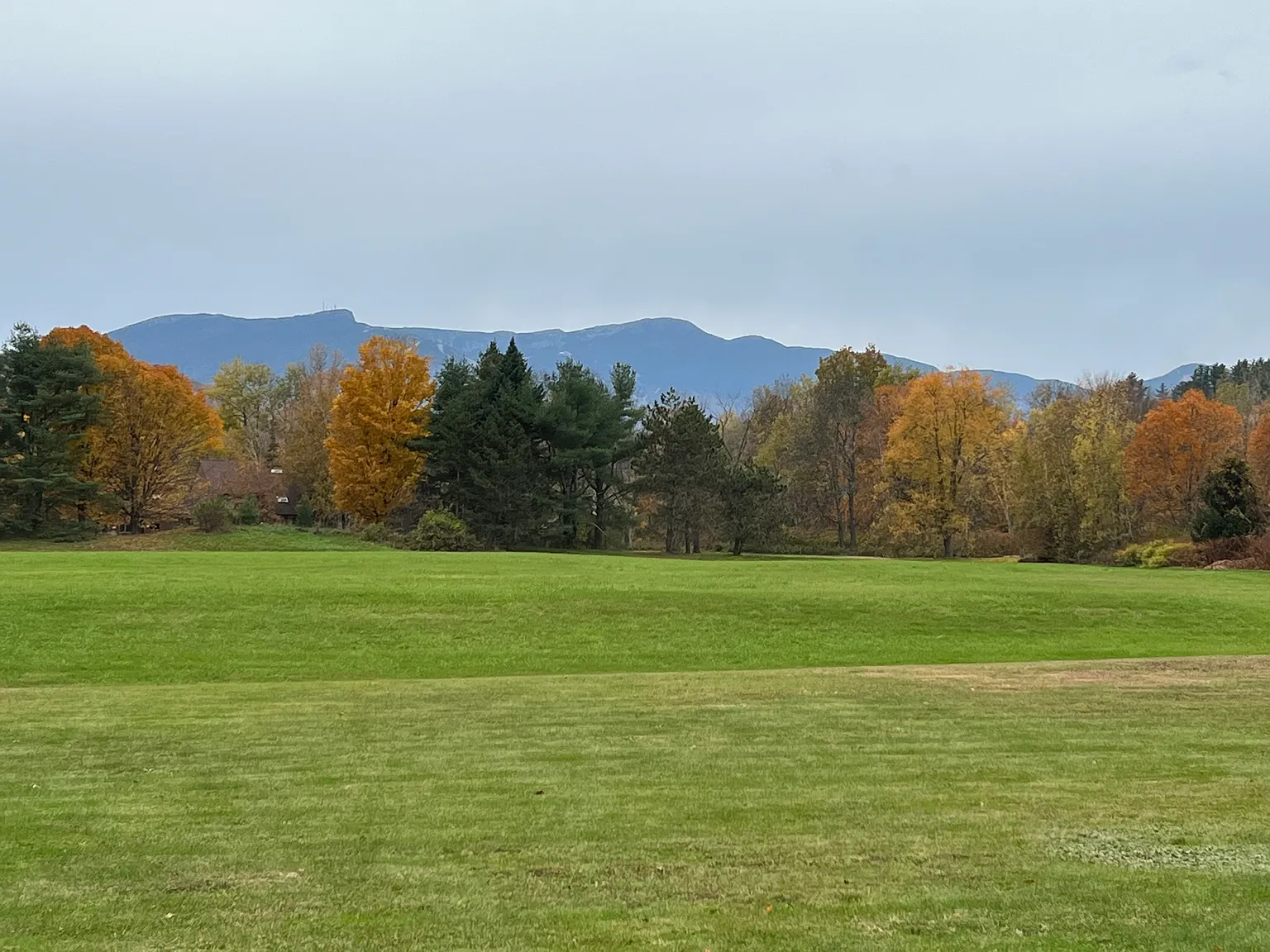 2 bed, 1585 sqft, $4,500 — Photo 3