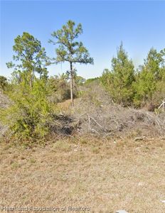 860 Lincoln Rd NE, Lake Placid, FL, 33852