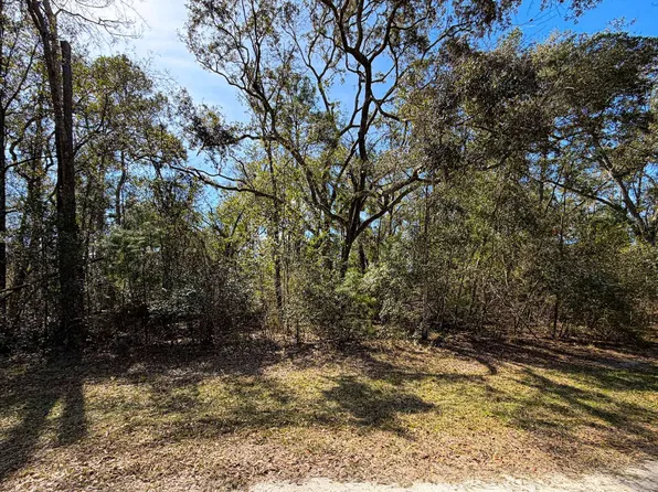 NE Laurie Ln Lot 52/53, Mayo, FL 32066