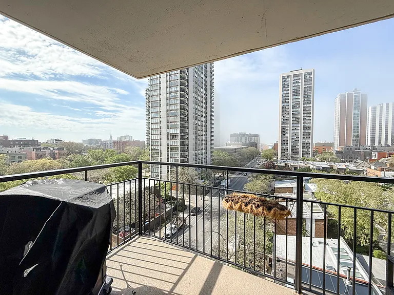 88 W Schiller St #809 — Photo 10