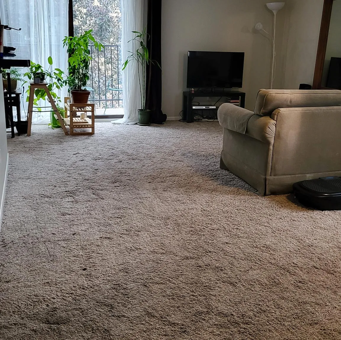 2 bed, 1197 sqft, $1,500 — Photo 4